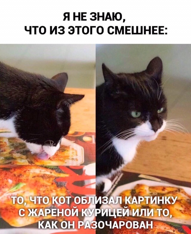 Бредзона 30.01.2020