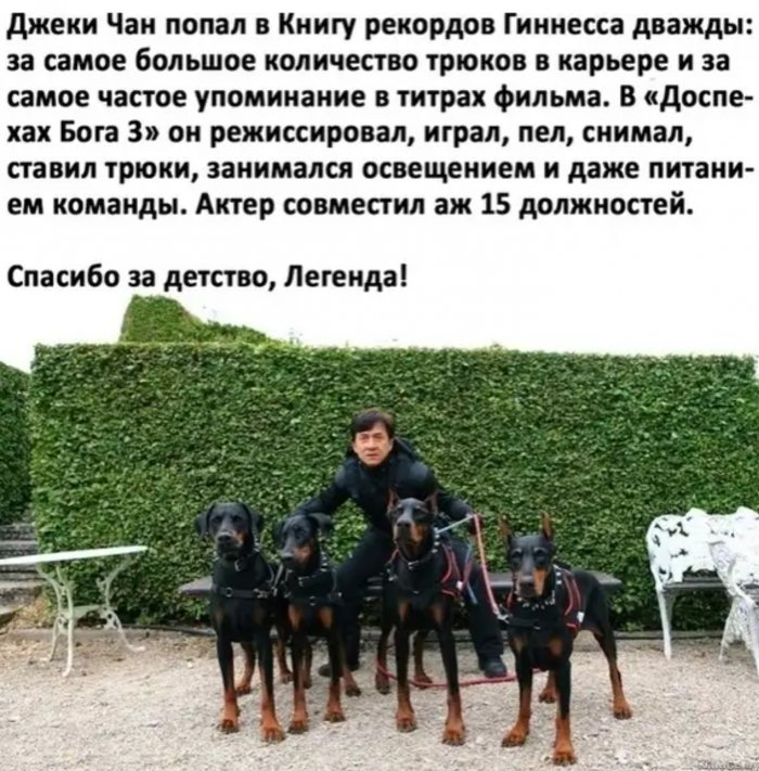 14382631.jpg