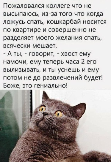 Немного картинок для настроения 18.07.20
