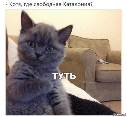 7 мифов о речных раках. Правда и вымысел