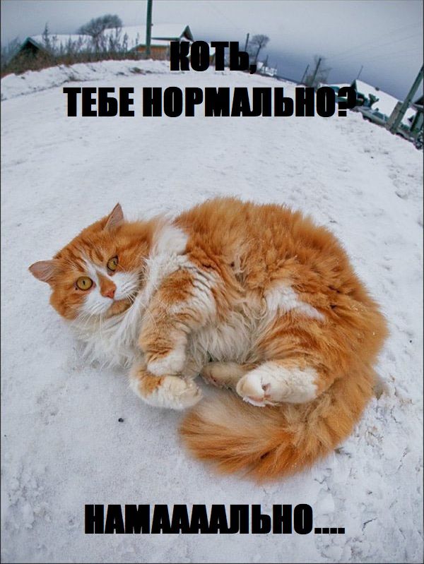 Прикольные и просто красивые картинки 28.07.2020