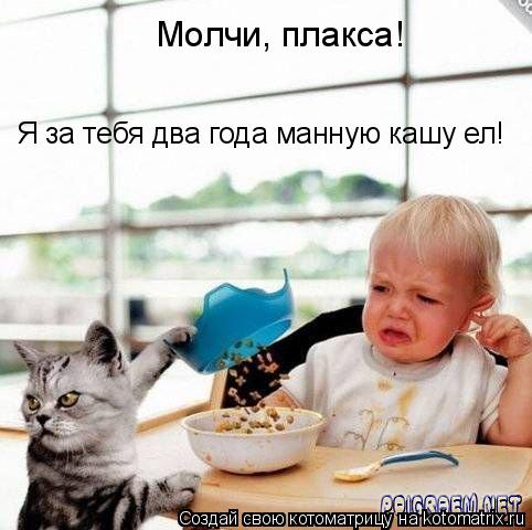 Смешные коты 25.08.20