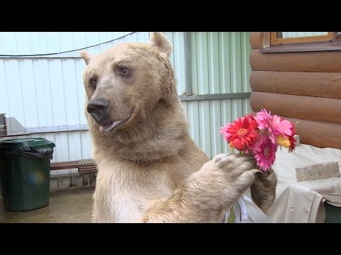Справедливо ли, что женщины жрут наравне с мужчинами?