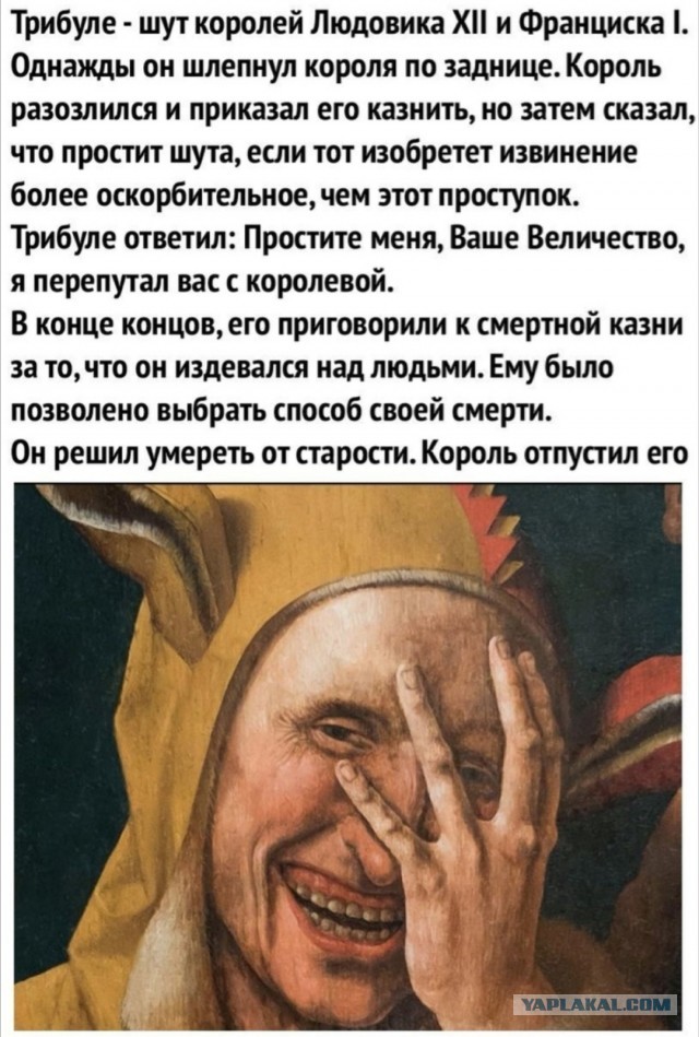 Трибуле шут картина