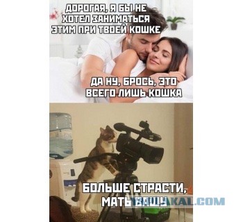 Мужчина НЕ должен обеспечивать. И никогда не был должен