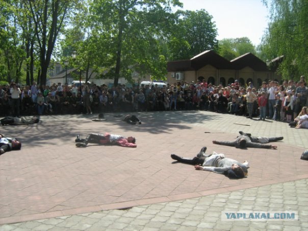 Ролевые жабы