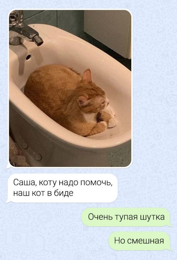 Картинки и мемы для настроения 016