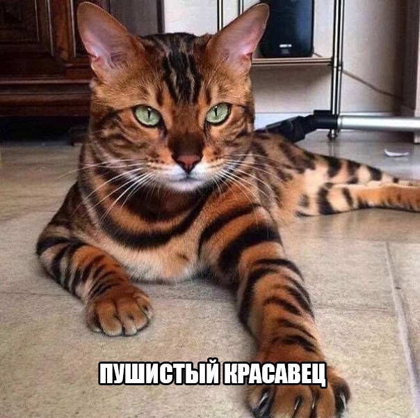 Так себе картинки 05.05.21