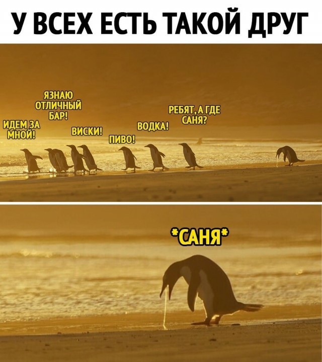 Картинки и фразы 9-го июня... тридцать штук