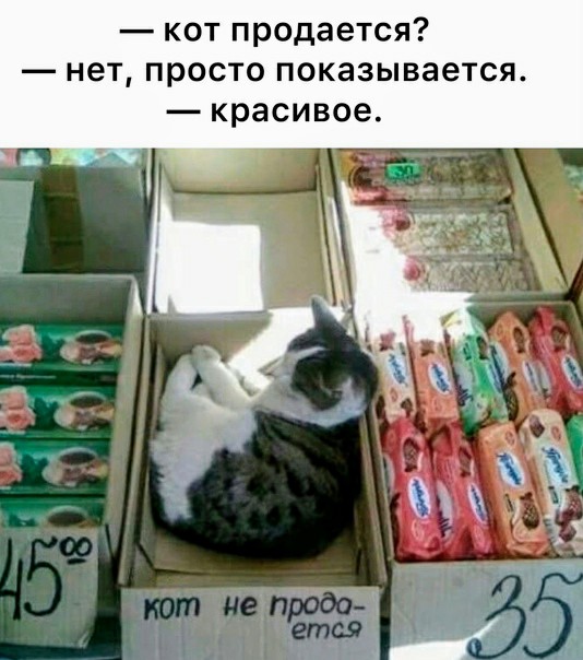 Картинки и мемы для настроения 26.08.2021