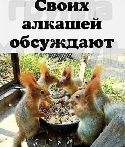 Так себе картинки 04.09.21