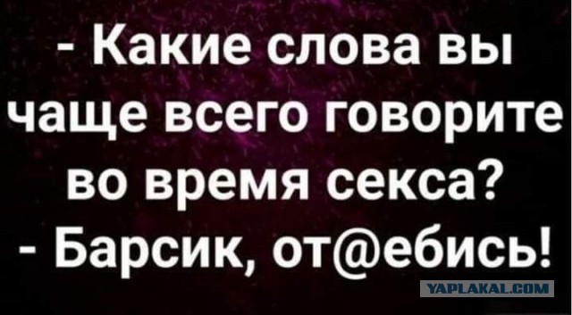 Так себе картинки 25.10.21