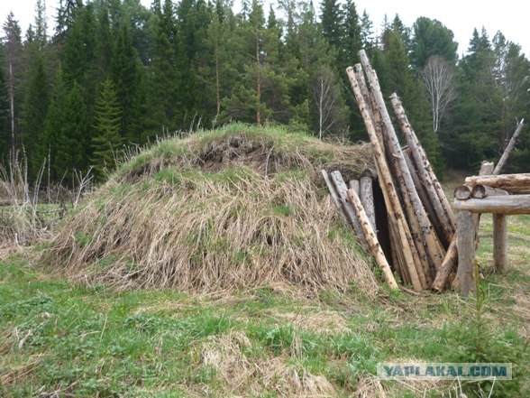 Лесное жилище