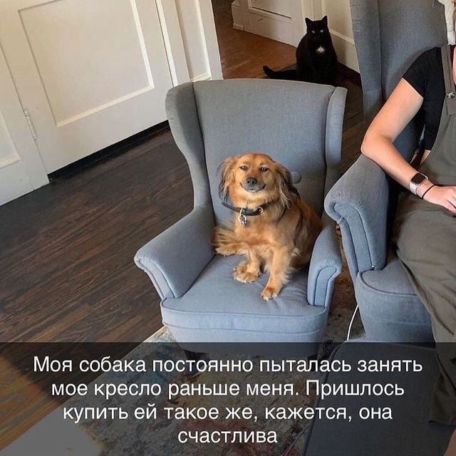 40 картинок разных 17.02.2022