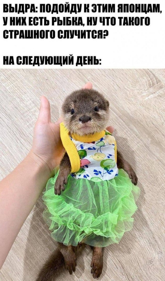 16472631.jpg