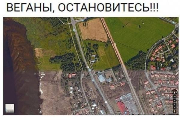 Так себе картинки 05.07.22