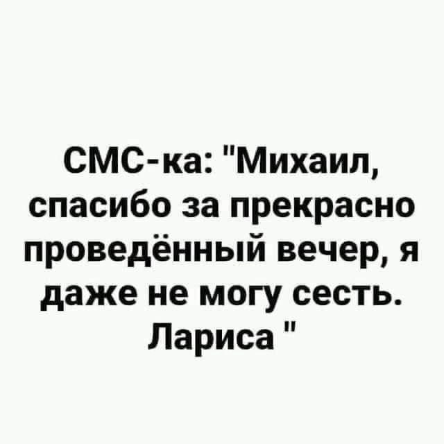 Весёлый полтишок 08.08.22