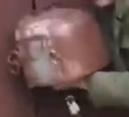 Чудо техника и собака