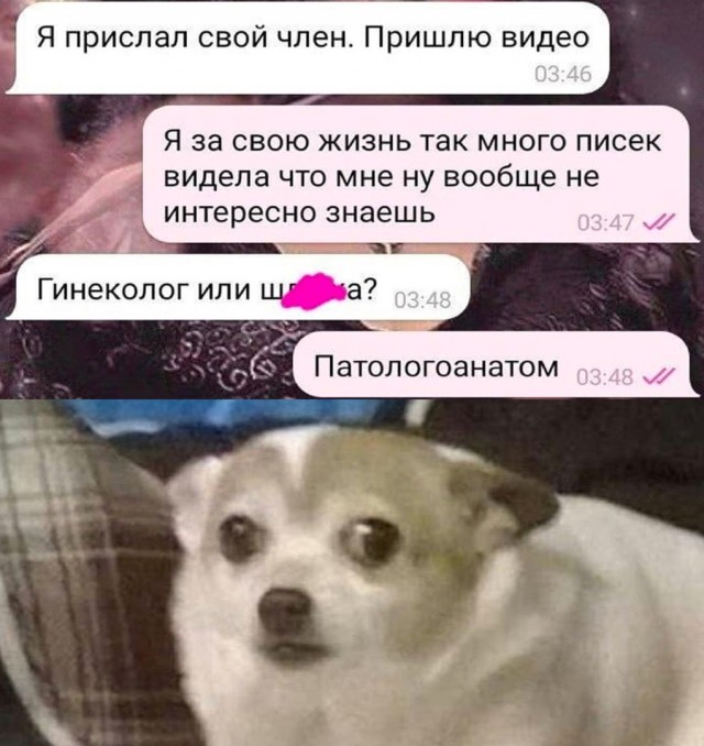 Так себе картинки 18.10.22