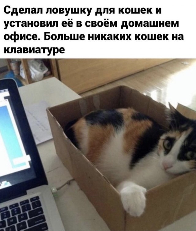 Картинки и мемы для настроения - 119