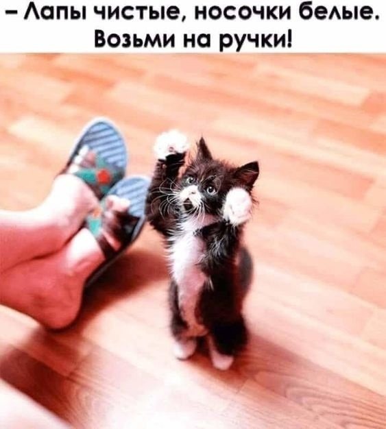 Прикольные и просто красивые картинки 25.11.2022