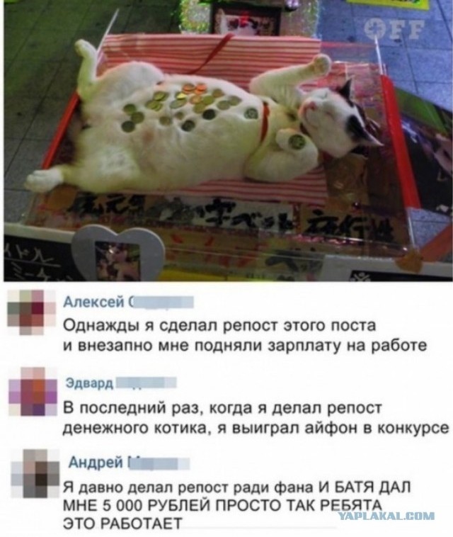 Извините. Деньги очень нужны