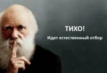 38-летняя жительница Омской области участвовала в конкурсе по поеданию блинов, во время которого подавилась и умерла