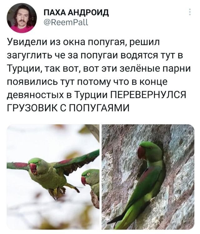 Картинки и мемы, это май-чародей всяко разно - 177