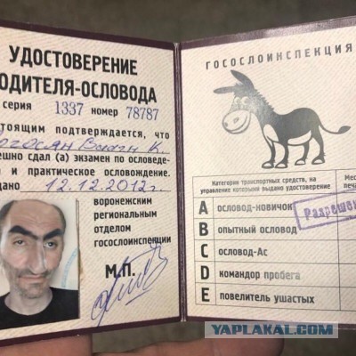 Веселая свадьба