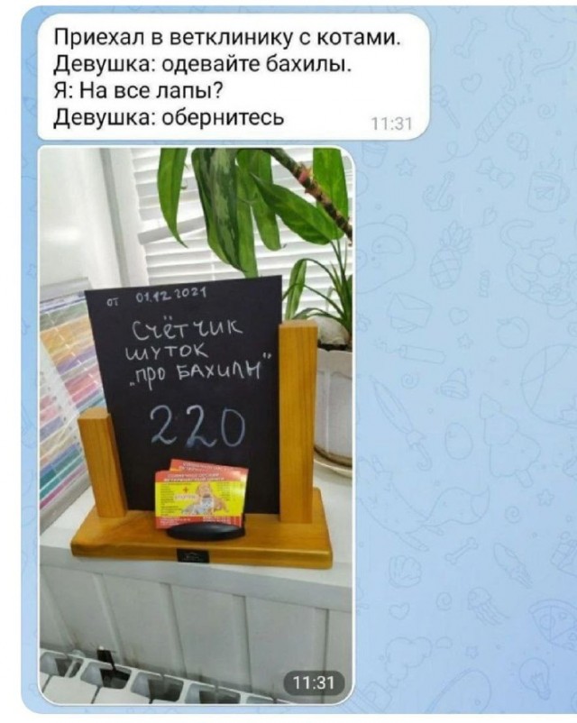 Всего понемногу. От 28.09.2023