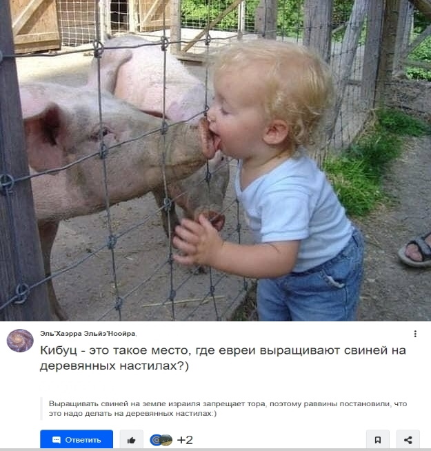 Немного юмора городским от деревенских