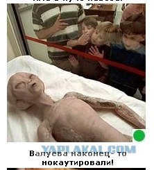 Автодемотиватор на ЯПе