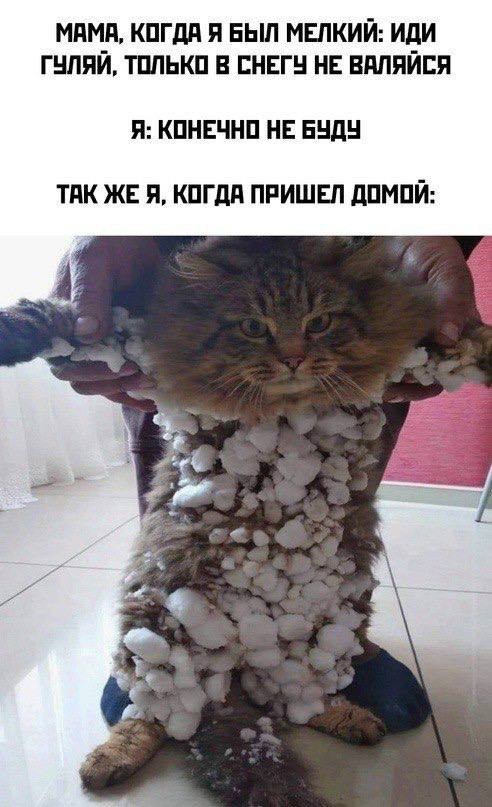 Так себе картинки 20.01.24