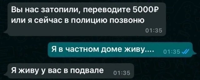 Весёлый полтишок 26.07.24