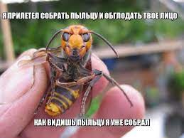 Литературная беседка v.1