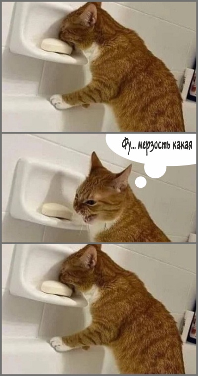 Вылезай, приехали!