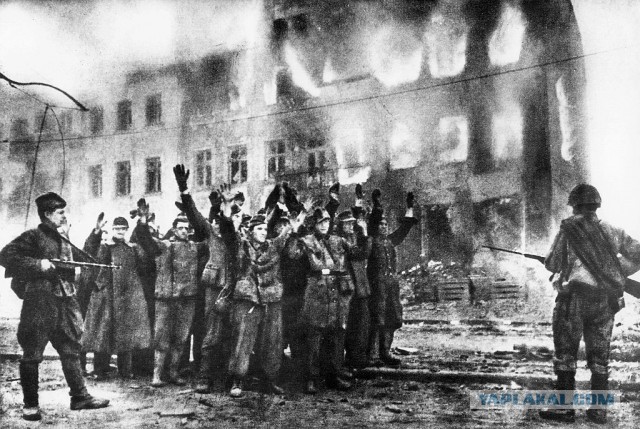 Калининградский областной музей