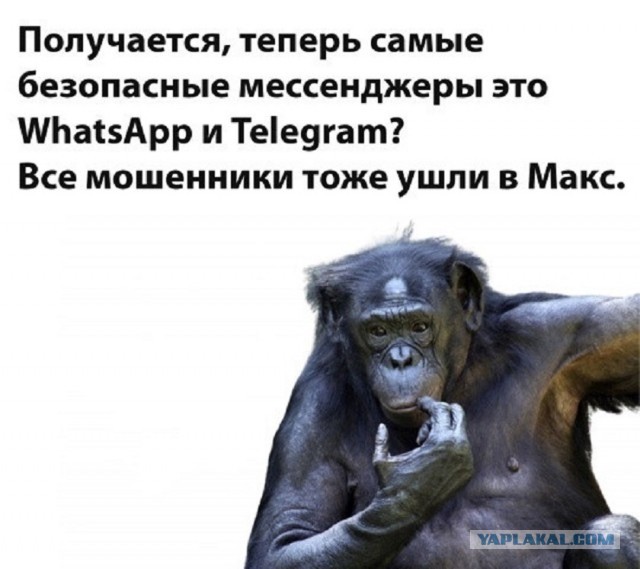 В Госдуме заявили, что все коды верификации должны отправляться в Max
