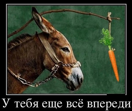 Лохотрон азон