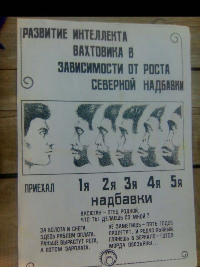 Три мифа о выживании в лесу, которые могут стоить жизни