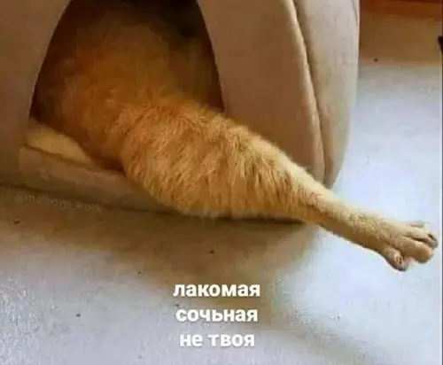 Картиночки, баянчики 12 марта