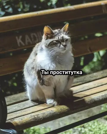 Картиночки, баянчики 02 апреля