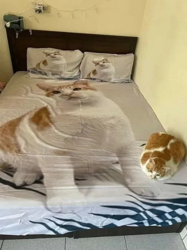 Забавные и интересные фото из Сети 23.04.26