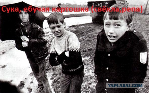 Городские, кто не знает..