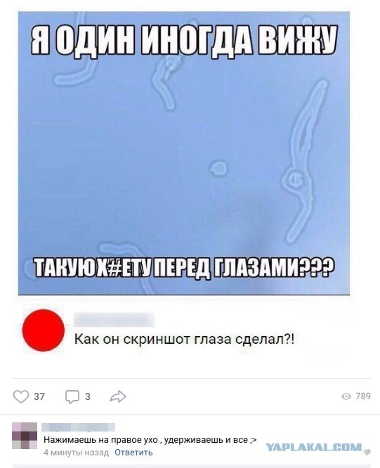 Вверх!