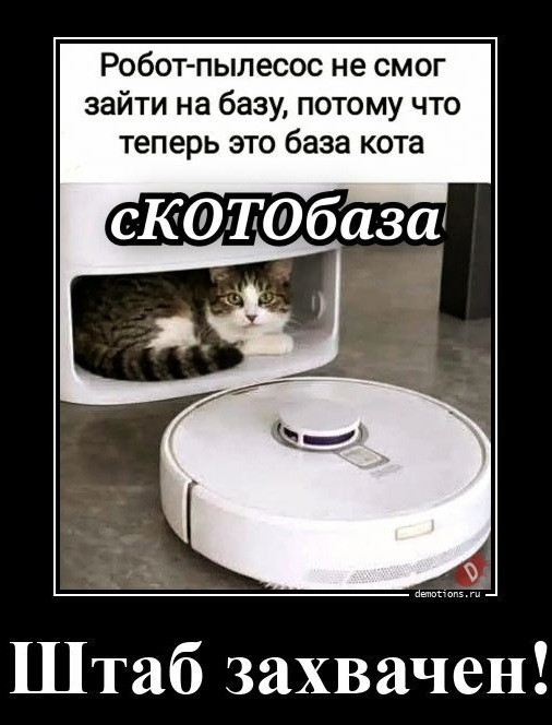 Так себе картинки 29.07.26