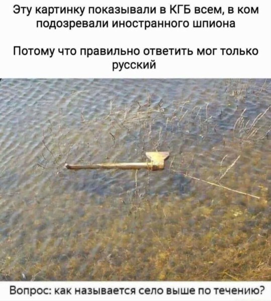 Веселые картинки в пятницу (07.08)