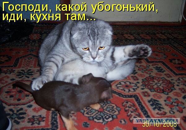 Не про олимпиаду