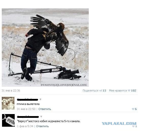 Смешные комментарии из социальных сетей #2