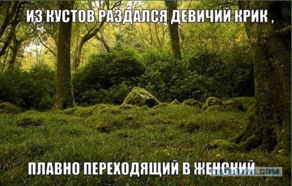 Не перевелись еще бабы на Руси